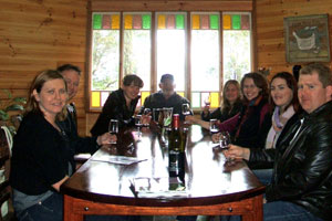 Millbrook Estate, Hunter Valley Vineyard and Winery